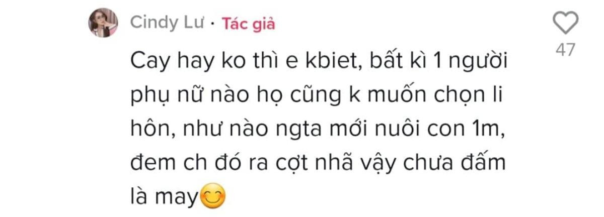 Cindy Lư đáp trả cực gắt khi bị anti-fan 'khịa' chuyện làm mẹ đơn thân nuôi con một mình Ảnh 4