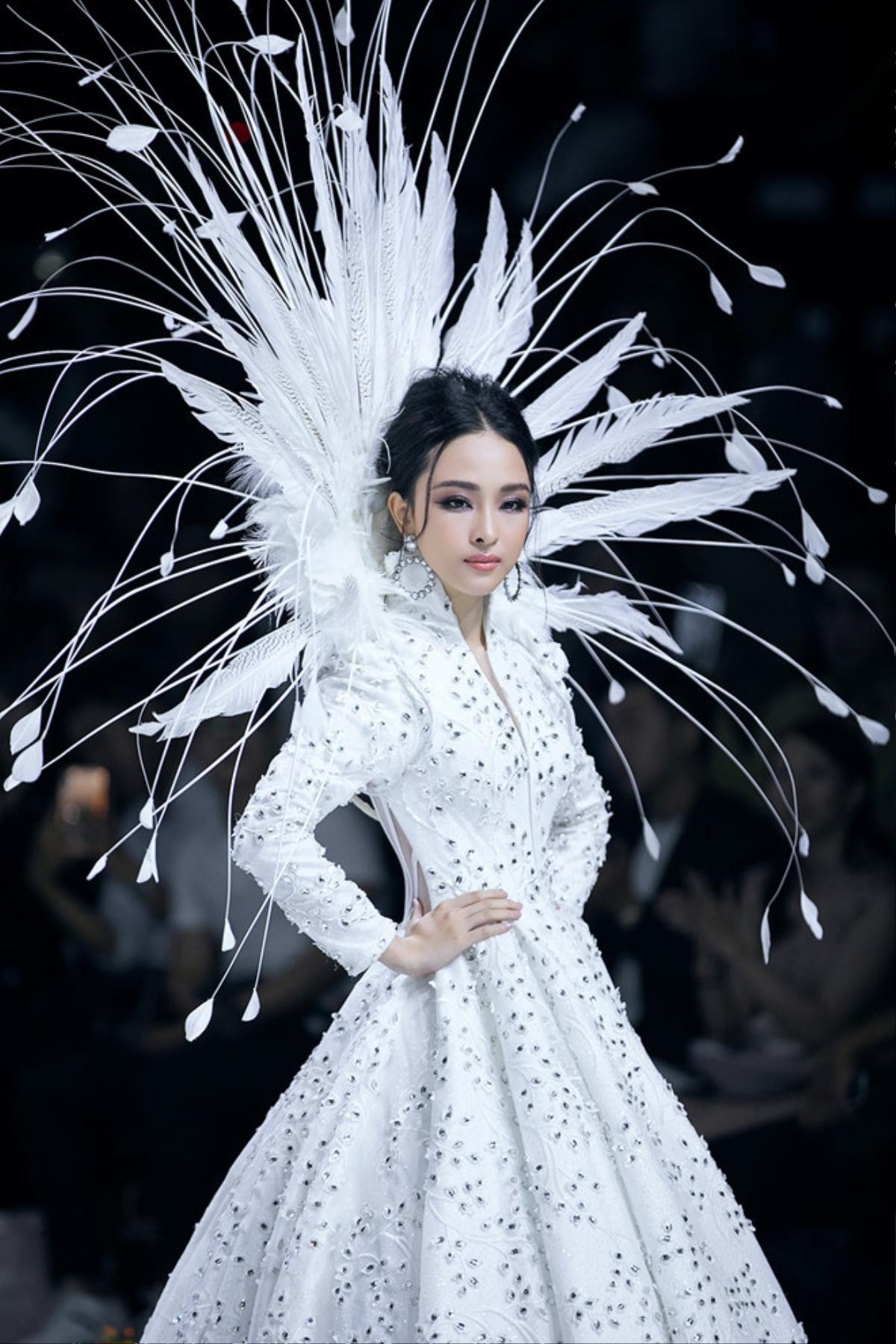 Trương Hồ Phương Nga bất ngờ xuất hiện kiều diễm trên sàn catwalk, nhưng cái kết 'đắng' hệt Lê Bống Ảnh 5