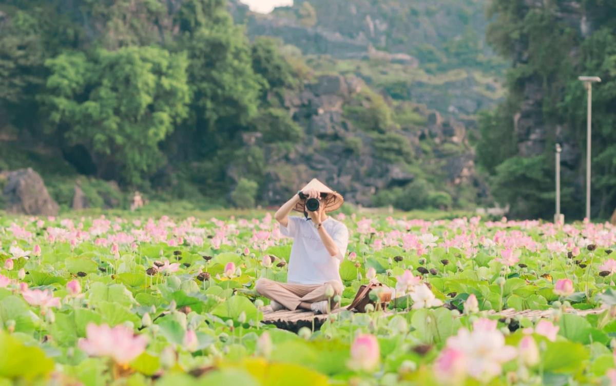 Mùa sen nở ở Hang Múa đẹp như tiên cảnh chốn nhân gian Ảnh 1