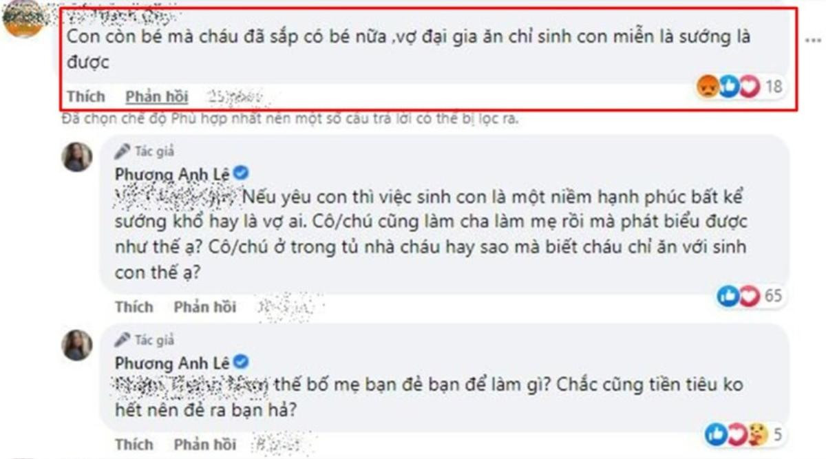 Phanh Lee mang bầu lần 2, có màn đáp trả cực cao tay khi bị anti-fan mỉa mai chuyện 'ăn và sinh con' Ảnh 5