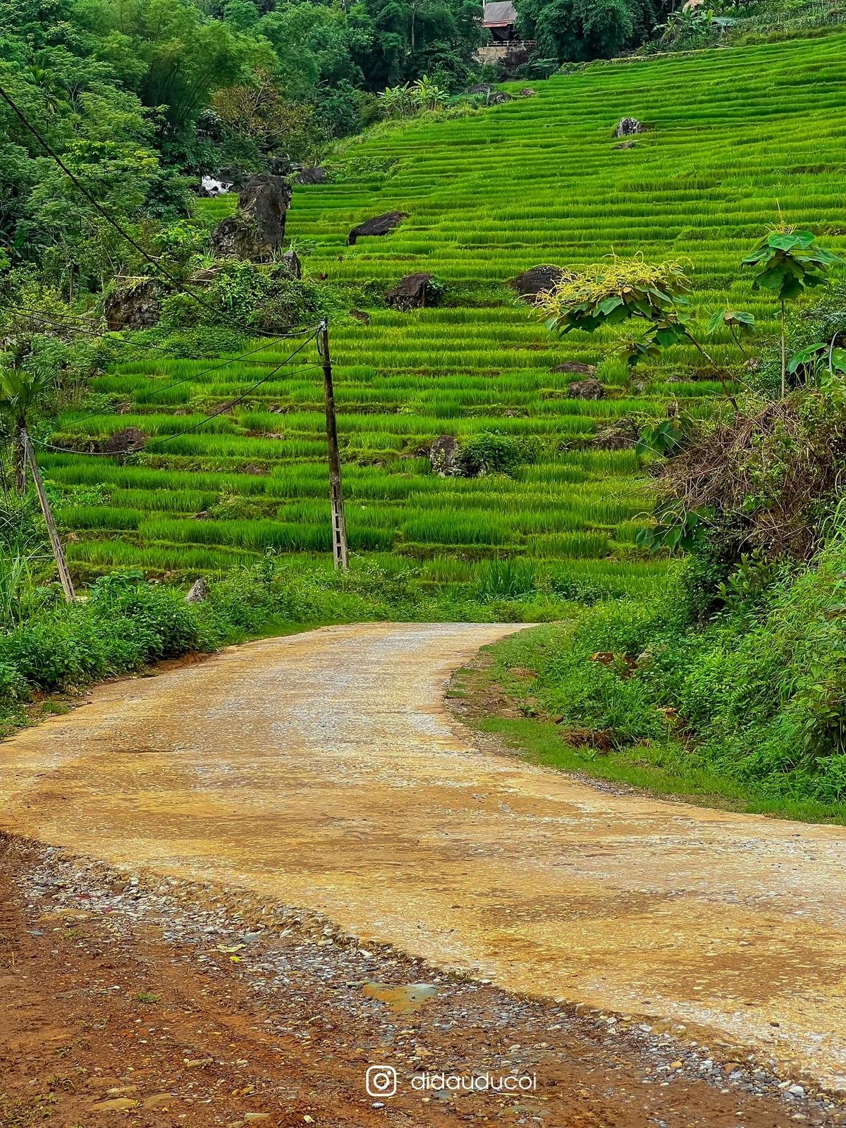 Có một Pù Luông mùa lúa chín đẹp đến xiêu lòng Ảnh 3