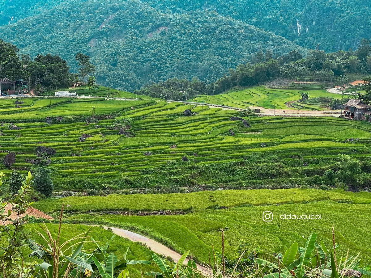 Có một Pù Luông mùa lúa chín đẹp đến xiêu lòng Ảnh 4