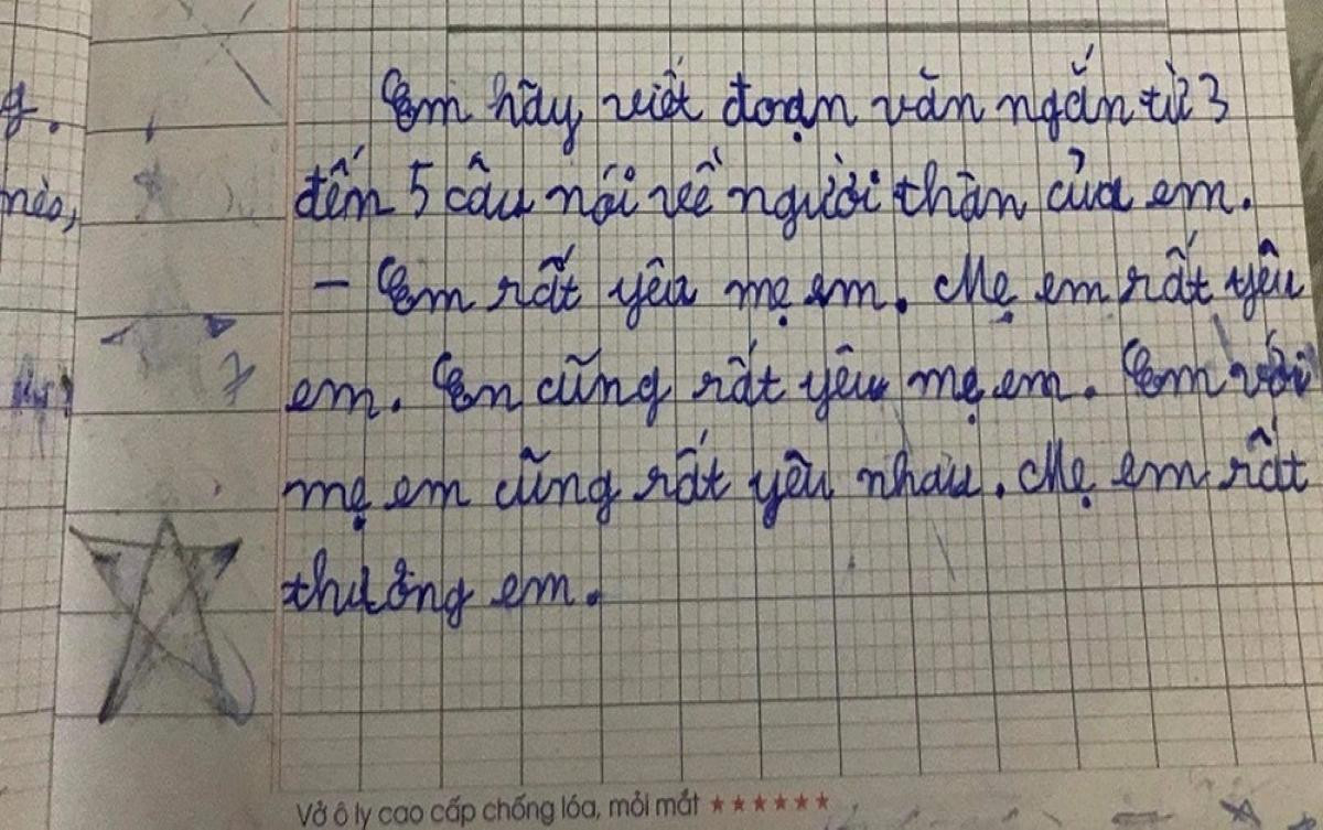 'Lạc đề hay xứng đáng điểm 10', bài văn của cậu bé tiểu học khiến dân mạng thắc mắc Ảnh 1