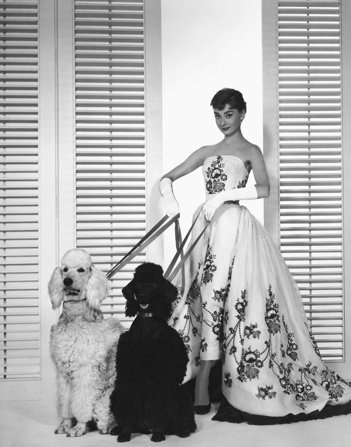 Nàng thơ Audrey Hepburn trong mắt Givenchy: 'Gửi tới cô ấy tất cả tình yêu' Ảnh 5