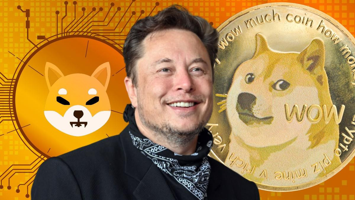 Liên quan đến vụ lừa đảo đa cấp với Dogecoin, Elon Musk bị khởi kiện và phải bồi thường hơn 200 tỷ USD Ảnh 1