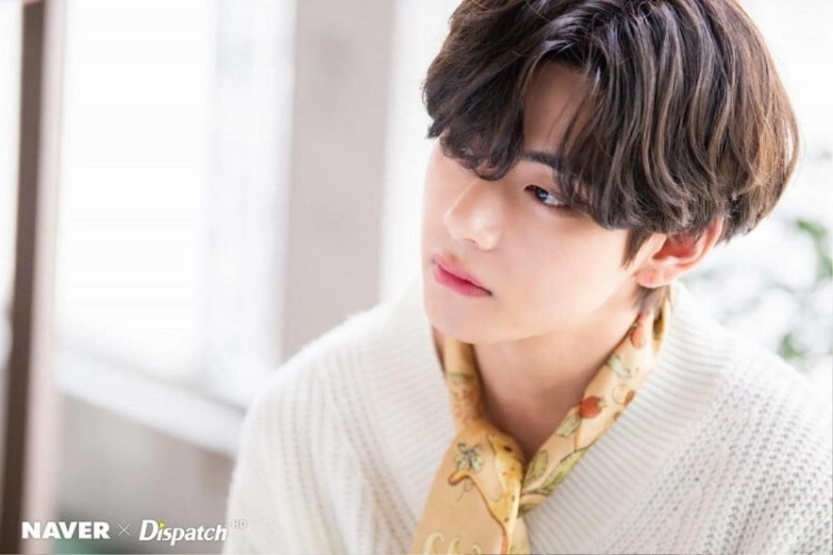 Top 5 mỹ nam Kbiz có gương mặt hoàn hảo nhất: Ahn Hyo Seop, V (BTS) tranh ngôi đầu với Cha Eun Woo Ảnh 9