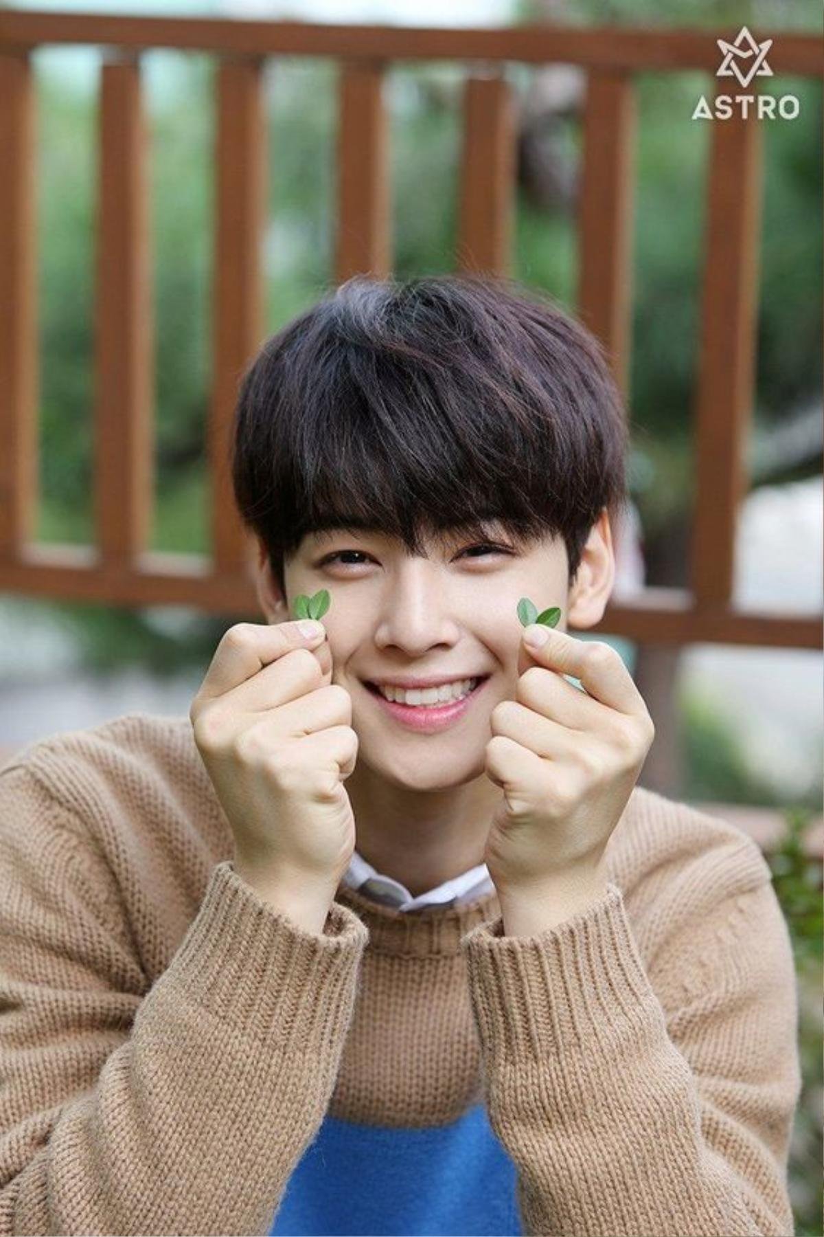 Top 5 mỹ nam Kbiz có gương mặt hoàn hảo nhất: Ahn Hyo Seop, V (BTS) tranh ngôi đầu với Cha Eun Woo Ảnh 1