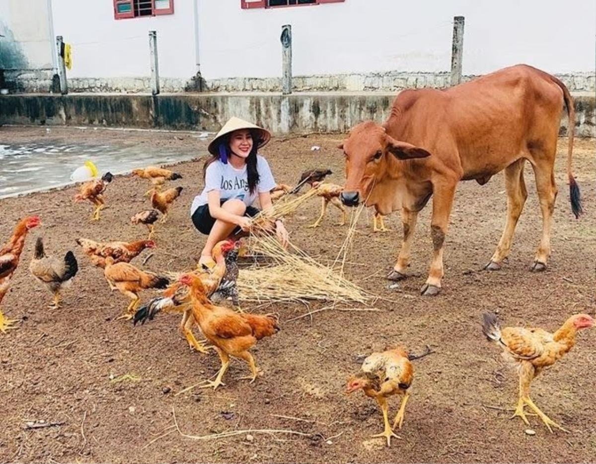 Hồ Bích Trâm: Từ cô gái nghèo khó đến cơ ngơi tiền tỷ Ảnh 2