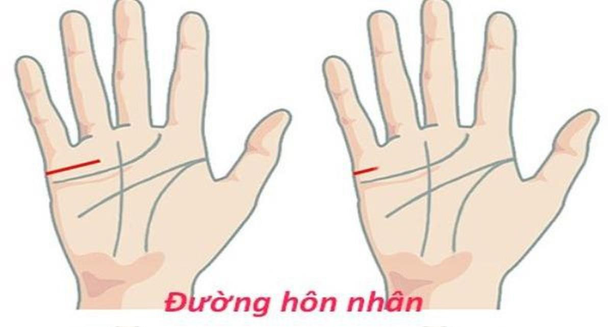 Nét tướng của người sống vong ơn bội nghĩa, lòng dạ hẹp hòi Ảnh 5