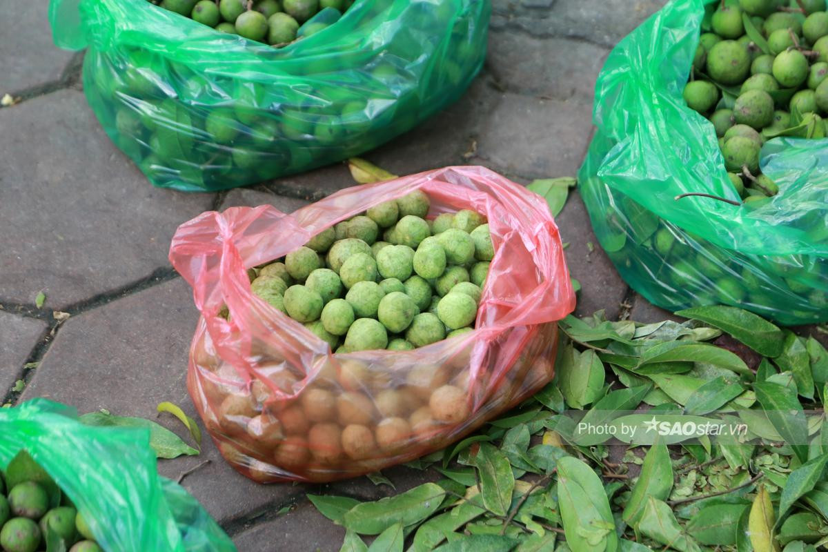 Những mảnh đời mưu sinh giữa Thủ đô để kiếm miếng ăn: 'Giống như đánh cược tính mạng của mình' Ảnh 6