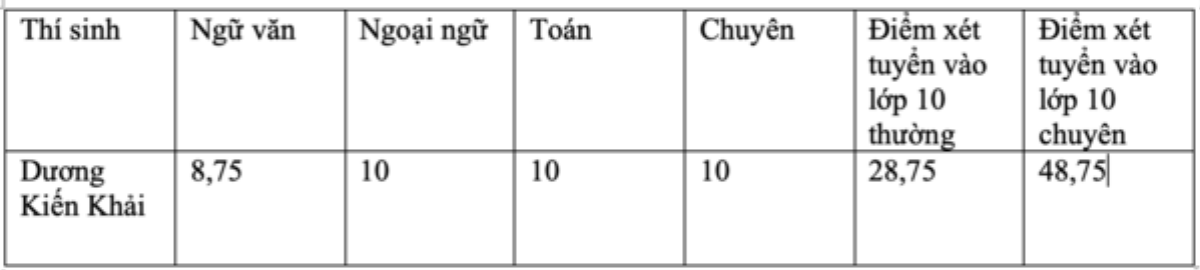 Chân dung Thủ khoa với 3 điểm 10 tuyệt đối trong kỳ thi vào lớp 10 ở TP.HCM Ảnh 1