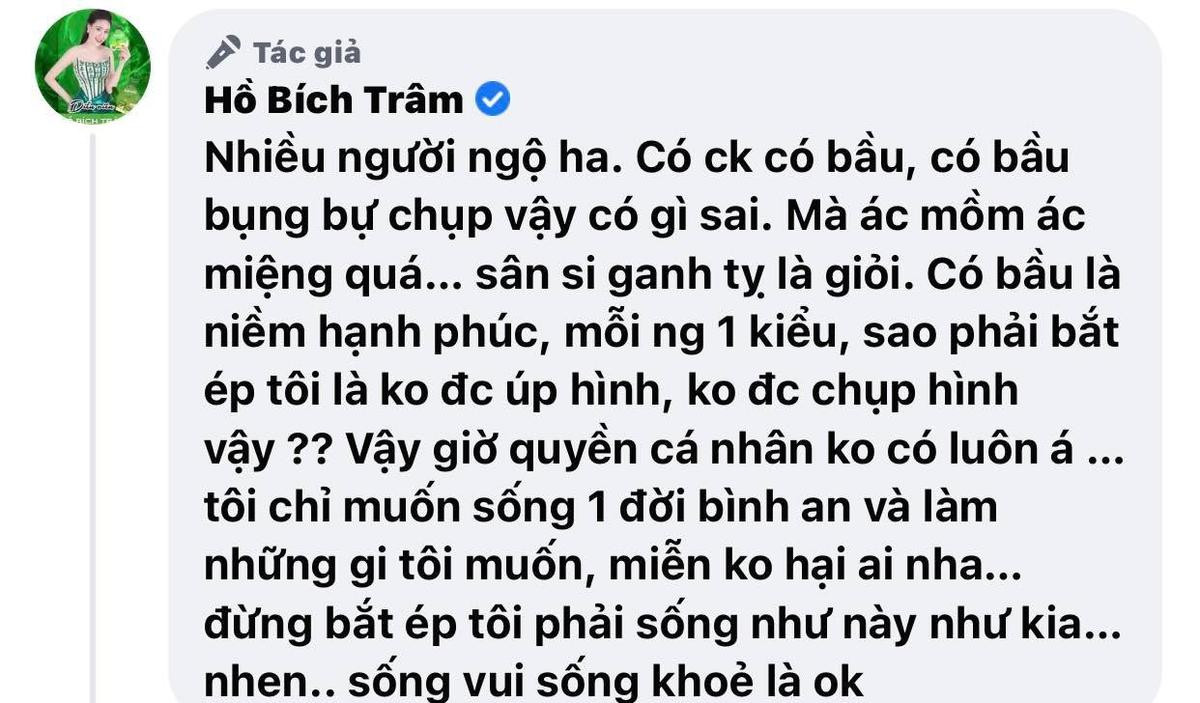 Bị anti-fan mỉa mai vì đăng hình bụng bầu, Hồ Bích Trâm đáp trả cực cao tay Ảnh 2