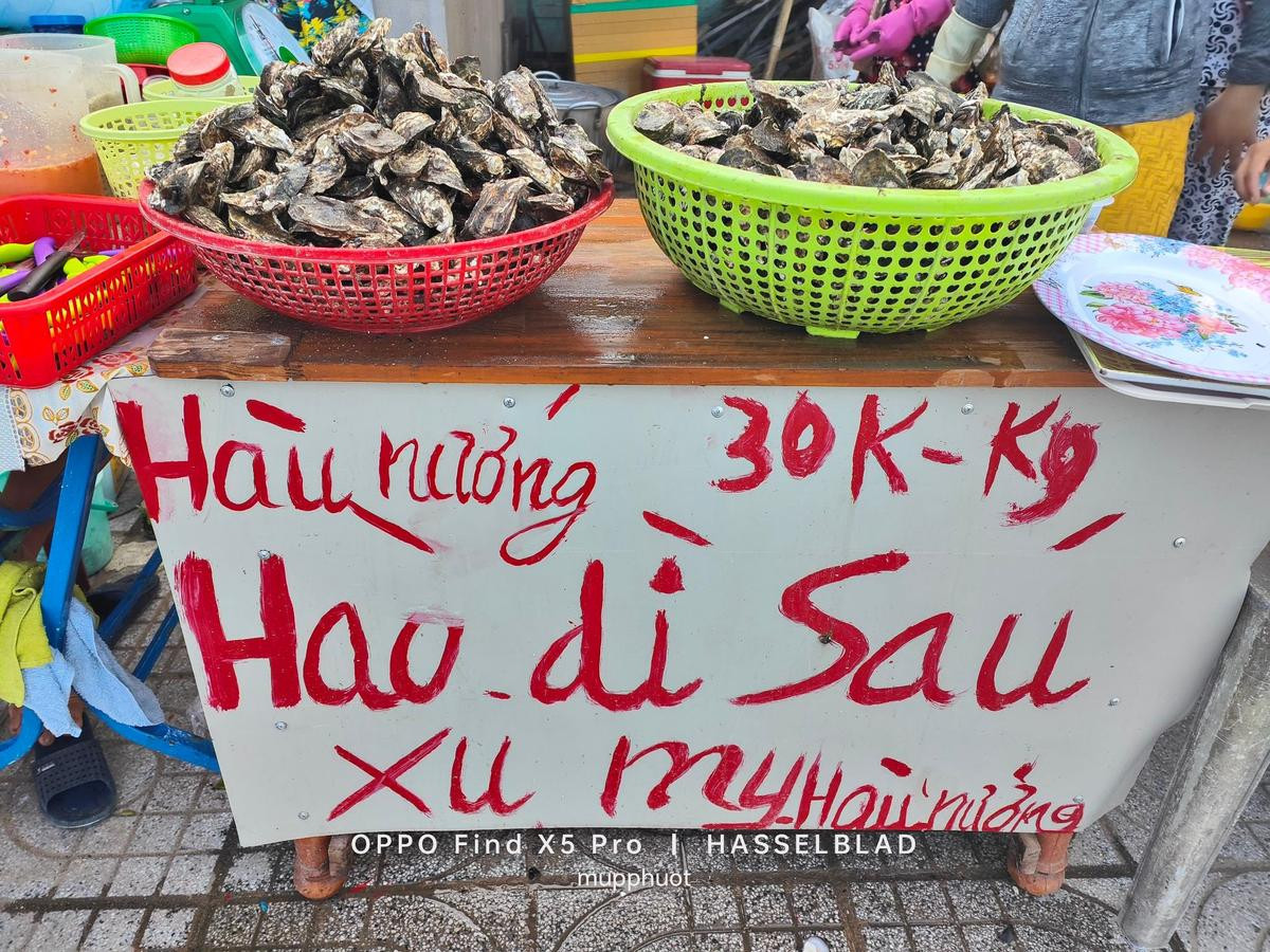 Hàu xô 30k/1kg có gì mà gây bão cộng đồng dân sành ăn? Ảnh 1