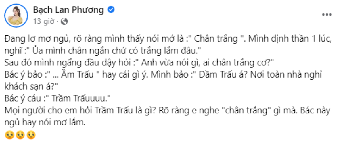 Bạch Lan Phương nhờ netizen giải mã lời nói mập mờ lúc ngủ mớ của bạn trai Huỳnh Anh Ảnh 2