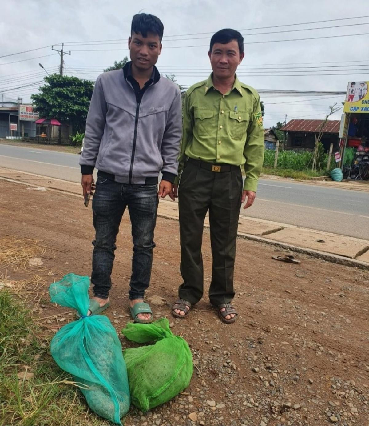 Tình cờ phát hiện 2 con tê tê quý hiếm lạc trong dãy cà phê, người đàn ông có hành động đáng khen Ảnh 2