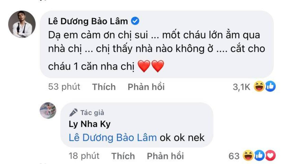 'Chị sui' Lý Nhã Kỳ gửi lời chúc đặc biệt và hứa tặng nhà cho con trai Lê Dương Bảo Lâm Ảnh 3