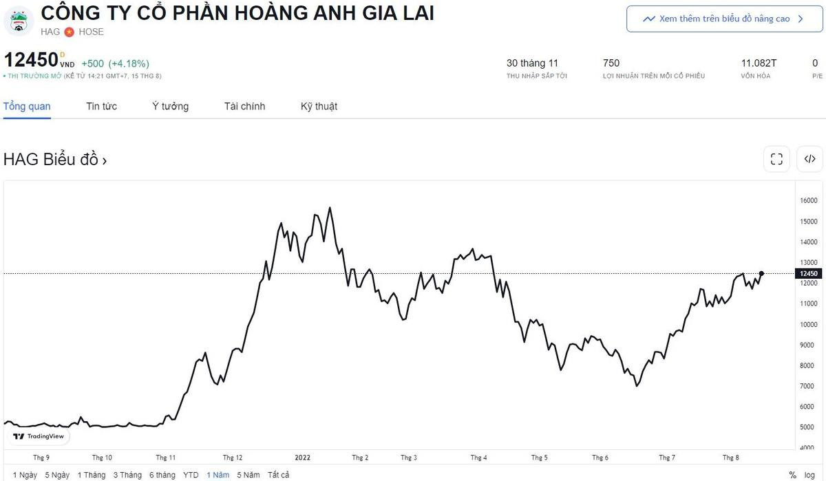 Tin vui cho bầu Đức: Hoàng Anh Gia Lai lãi tháng 7 gần bằng cả năm 2021 Ảnh 1