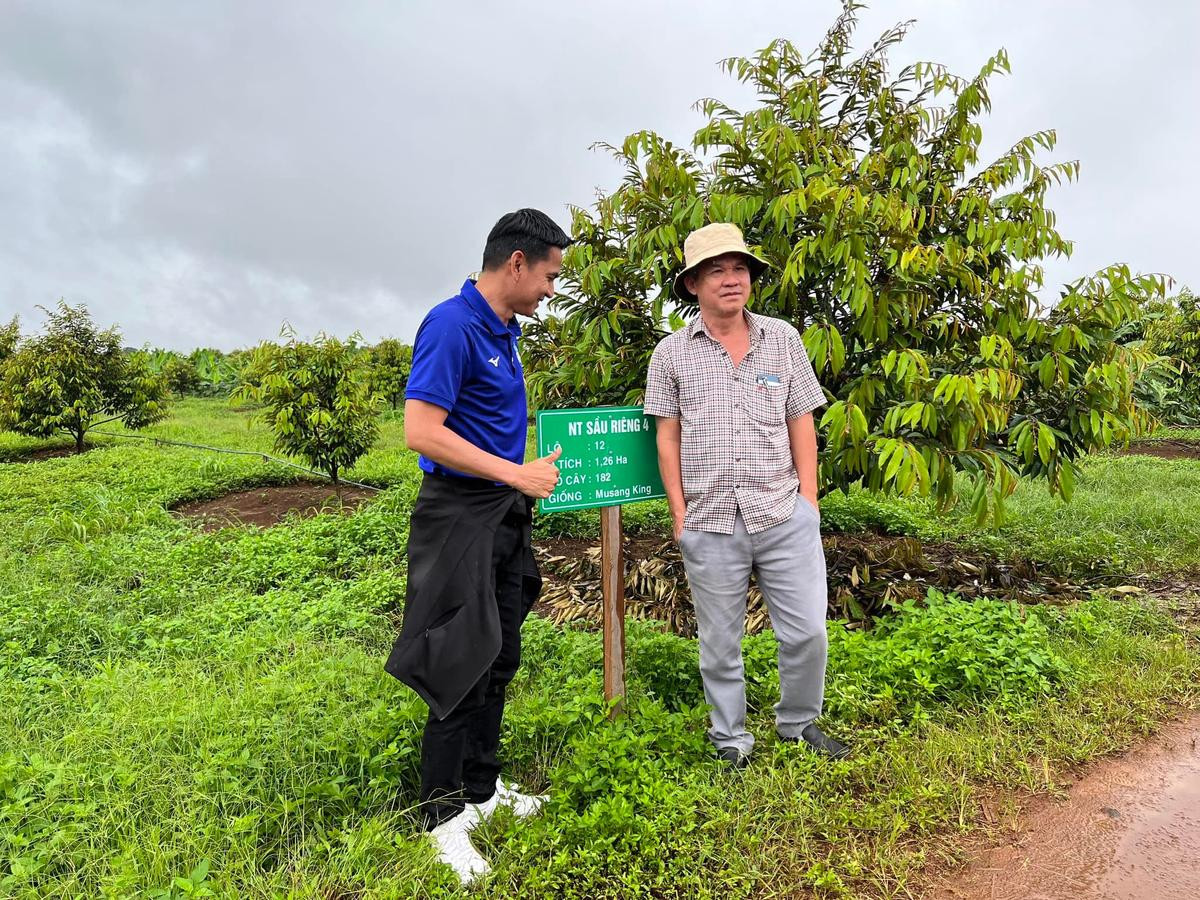 Tin vui cho bầu Đức: Hoàng Anh Gia Lai lãi tháng 7 gần bằng cả năm 2021 Ảnh 2