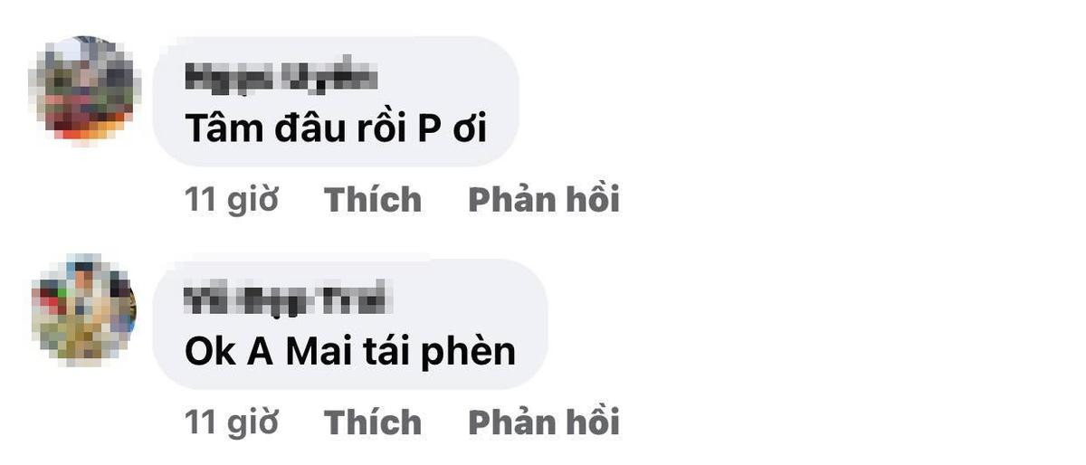 Có động thái gây chú ý giữa tin đồn rạn nứt, Mai Tài Phến liên tục bị hỏi: Mỹ Tâm đâu? Ảnh 2