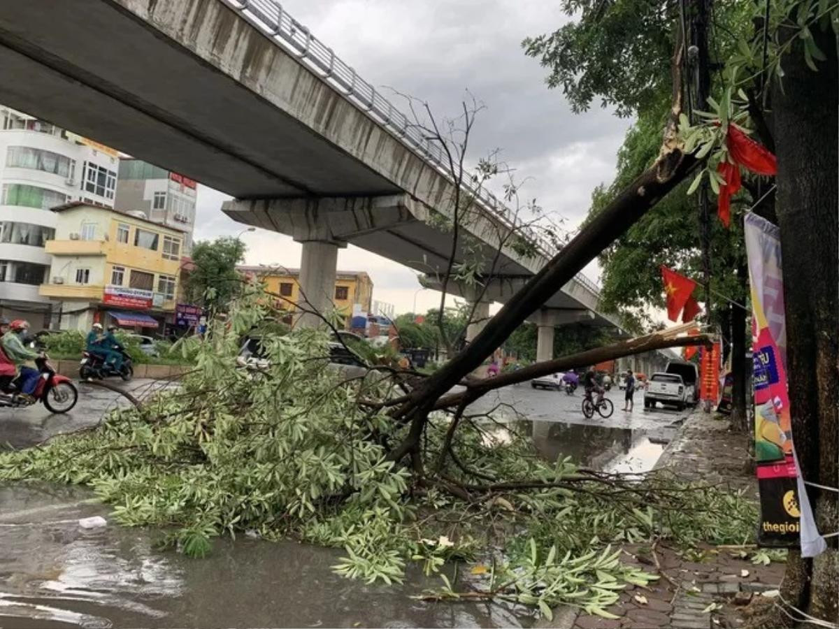 Mưa lớn kèm gió to 'như kéo bay cả người được' Ảnh 7