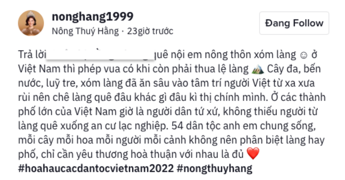 Nông Thúy Hằng đáp trả khi bị chê hoa hậu ao làng: 'Phép vua thua lệ làng' Ảnh 3