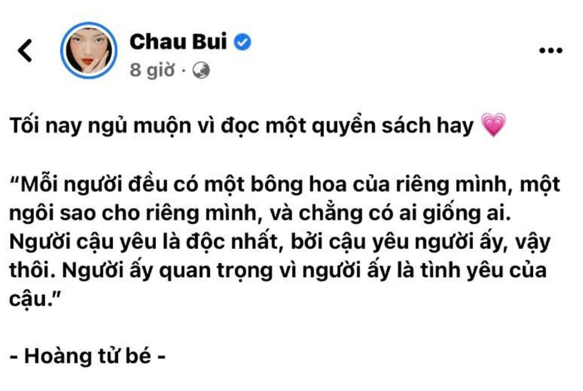 Châu Bùi thông báo đã tìm thấy 'bông hoa' của cuộc đời, netizen liền đoán ngay Binz Ảnh 2