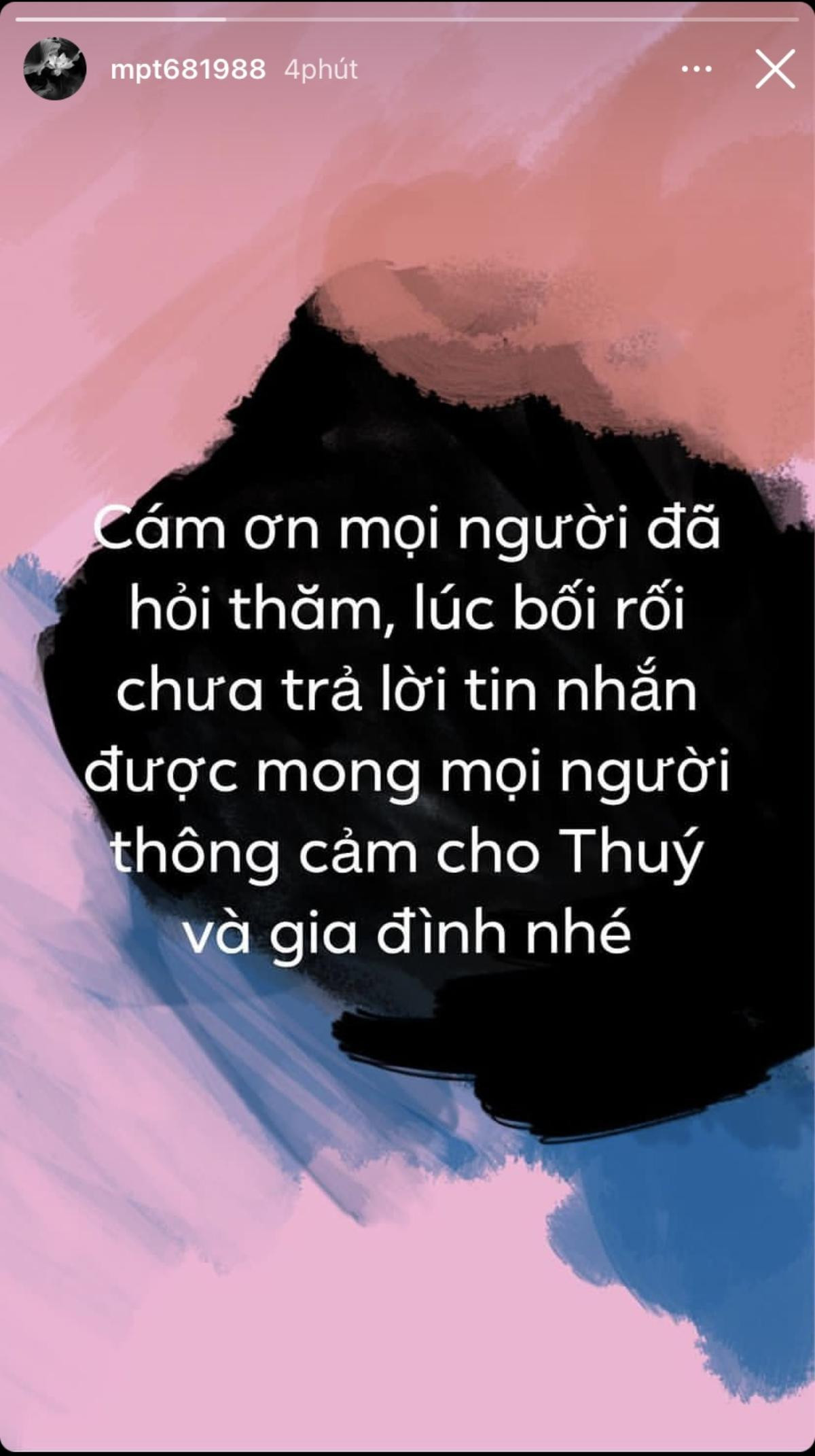 Mai Phương Thúy để avatar đen, các nghệ sĩ lo lắng gửi lời chia buồn Ảnh 4