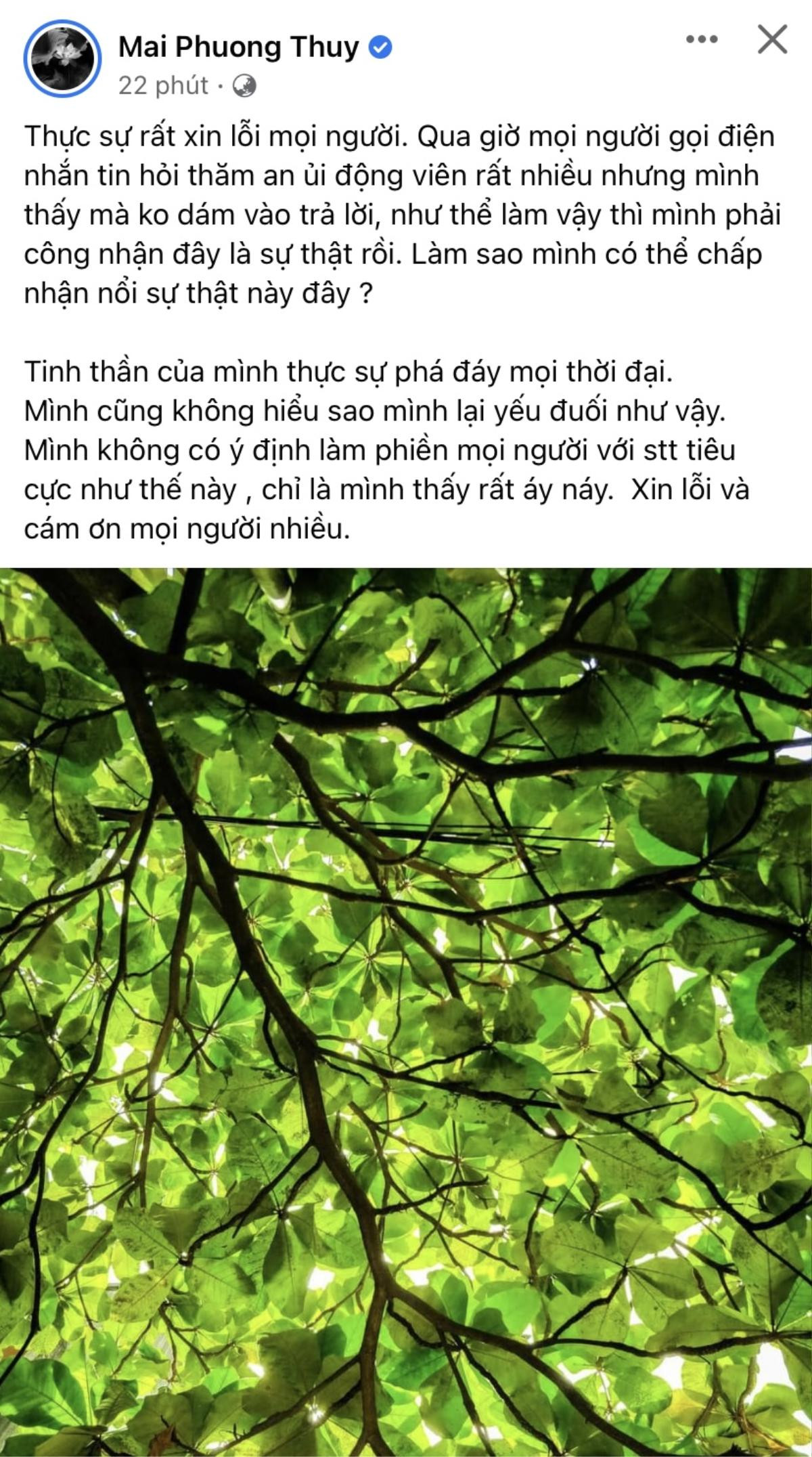 Mai Phương Thúy đau đớn vì mất người thân: 'Tinh thần của tôi thực sự phá đáy' Ảnh 2