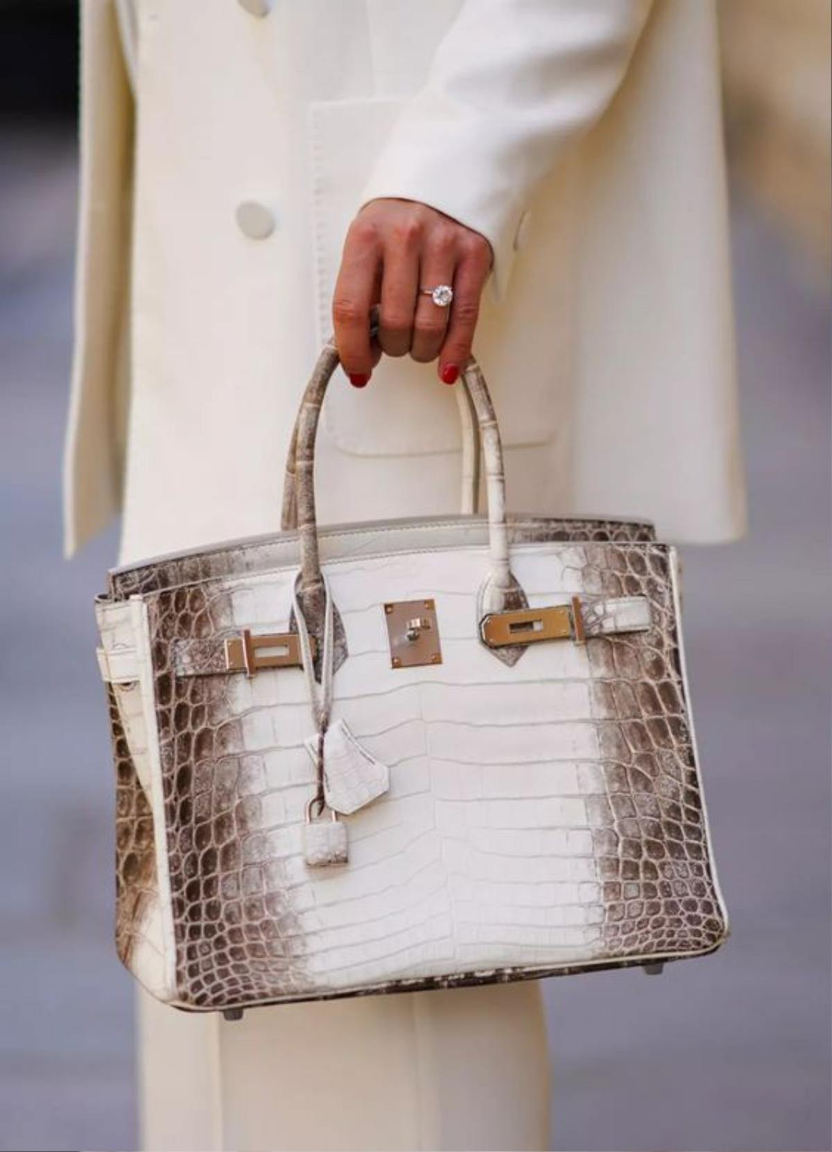 Giải mã túi Hermès Birkin: Món phụ kiện đắt giá được thèm muốn hơn cả vàng Ảnh 4