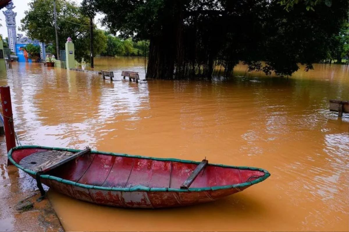 Người dân ngoại thành Hà Nội chèo thuyền trên đường làng, đổ xô đi bắt cá sau mưa lớn Ảnh 5