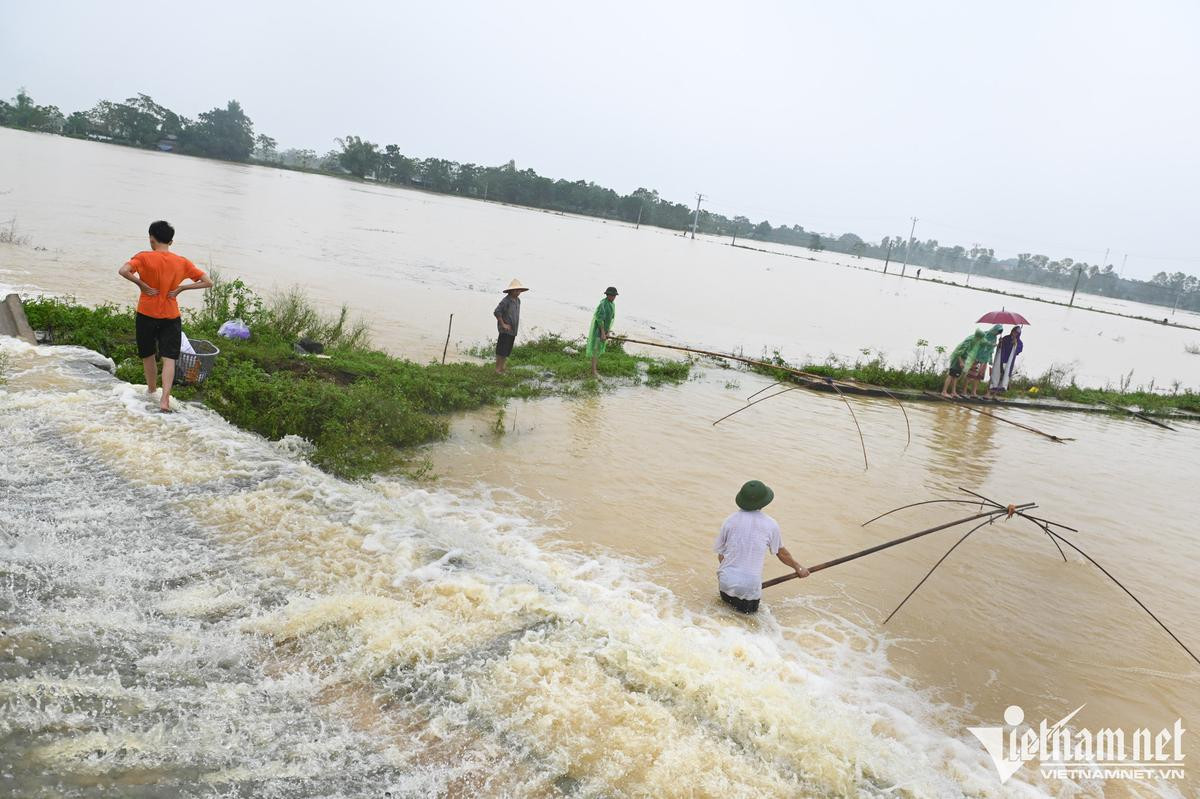 Người dân ngoại thành Hà Nội chèo thuyền trên đường làng, đổ xô đi bắt cá sau mưa lớn Ảnh 7