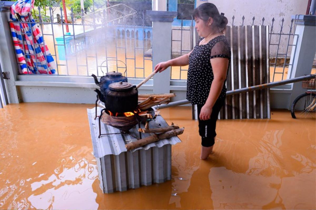 Người dân ngoại thành Hà Nội chèo thuyền trên đường làng, đổ xô đi bắt cá sau mưa lớn Ảnh 4