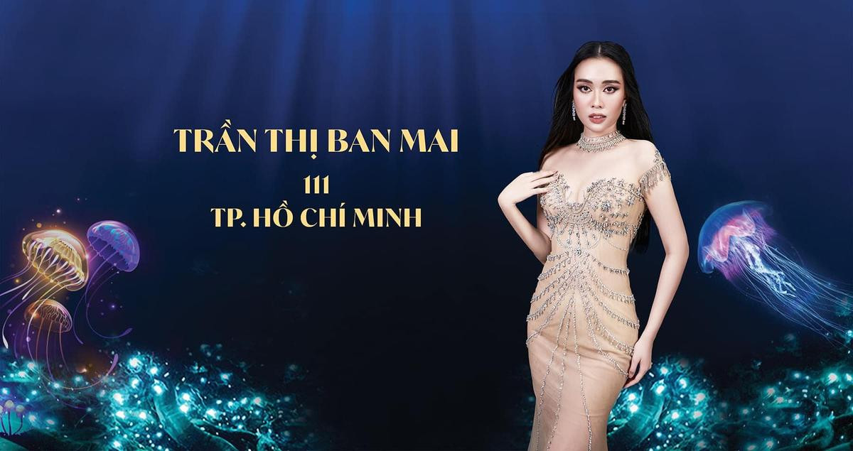 Người đẹp Ban Mai chính thức đăng quang Miss Peace Vietnam 2022, dân tình khen vì xứng đáng Ảnh 1