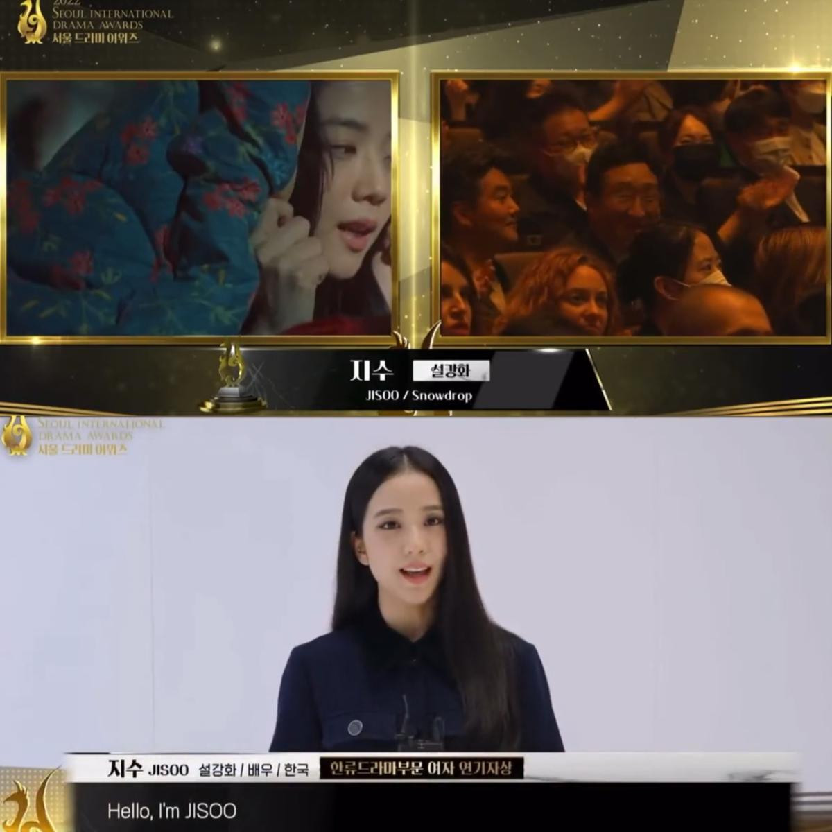 Jisoo (BLACKPINK) thắng giải nữ diễn viên nổi bật tại Seoul Drama Awards 2022 Ảnh 1