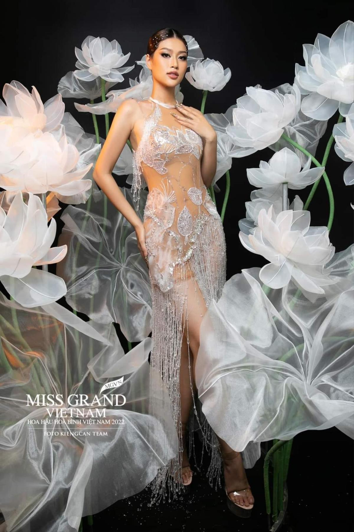 Miss Grand VN: Không hài lòng với kết quả chung cuộc, khán giả 'quay xe' ủng hộ Miss Grand Thailand Engfa Ảnh 2