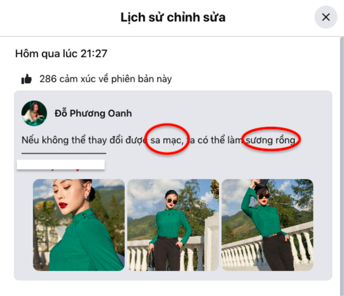 Sai chính tả lỗi học sinh cấp 1, Phương Oanh tự nhận: 'Đã dốt lại còn hay chơi chữ' Ảnh 2