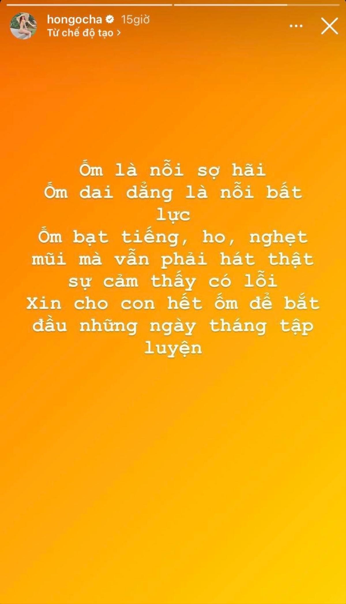 Hồ Ngọc Hà 'cảm thấy có lỗi' vì tình trạng sức khoẻ không ổn định Ảnh 2