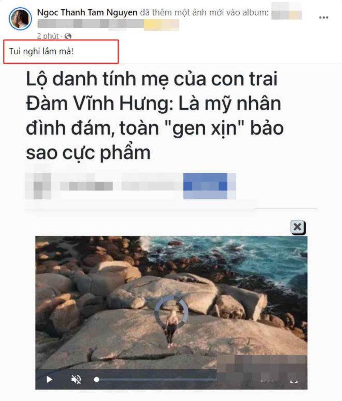 Ngọc Thanh Tâm chính thức lên tiếng về tin đồn là mẹ ruột con trai Đàm Vĩnh Hưng Ảnh 5