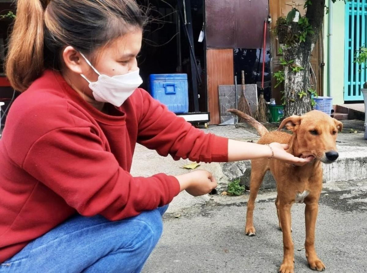 Hội An chính thức trở thành 'thành phố nói không với thịt chó, mèo' Ảnh 1