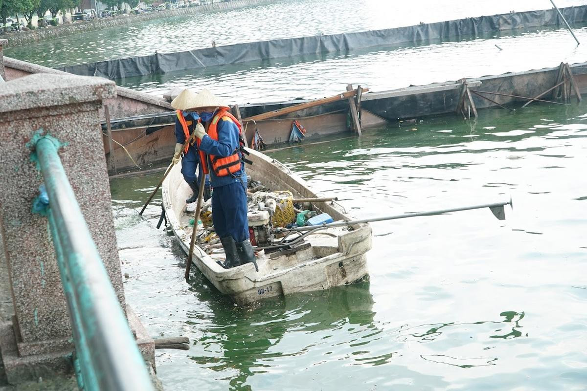 Ảnh vớt từng sọt cá kích thước lớn, chết nổi trắng ở Hồ Tây Ảnh 10