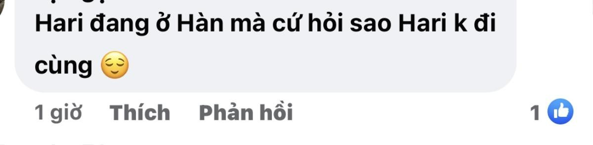 Lý do Hari Won vắng mặt trong đám cưới Anh Tú - Diệu Nhi? Ảnh 4