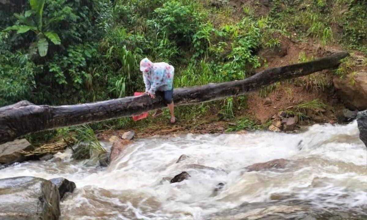 Xúc động hình ảnh cô giáo mầm non bám thân cây, vượt dòng suối lũ đến trường Ảnh 1