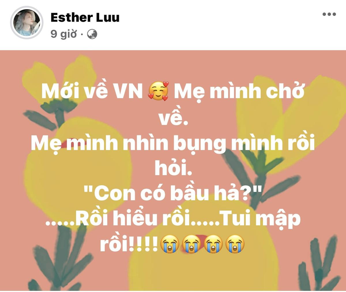 Hari Won bị mẹ hỏi chuyện mang bầu, Trấn Thành để lại bình luận gây chú ý Ảnh 1