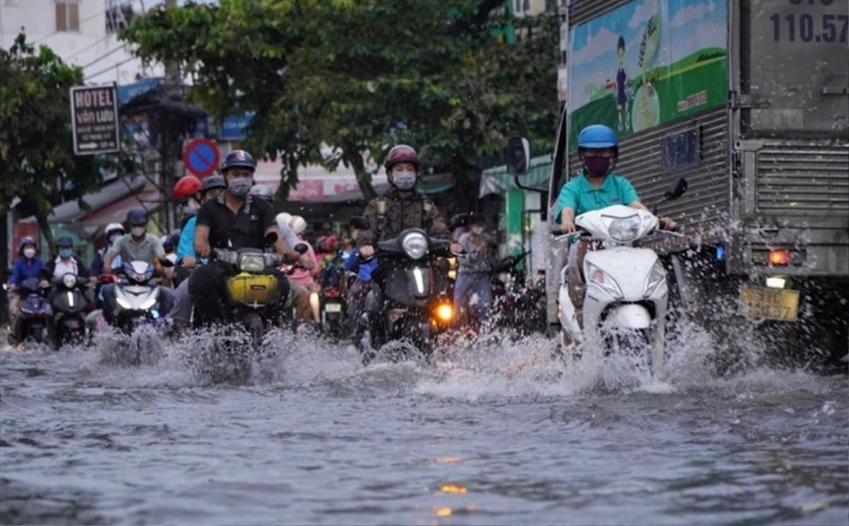 Nam Bộ liên tiếp đón triều cường vào thời gian tới, mưa lớn kéo dài Ảnh 1