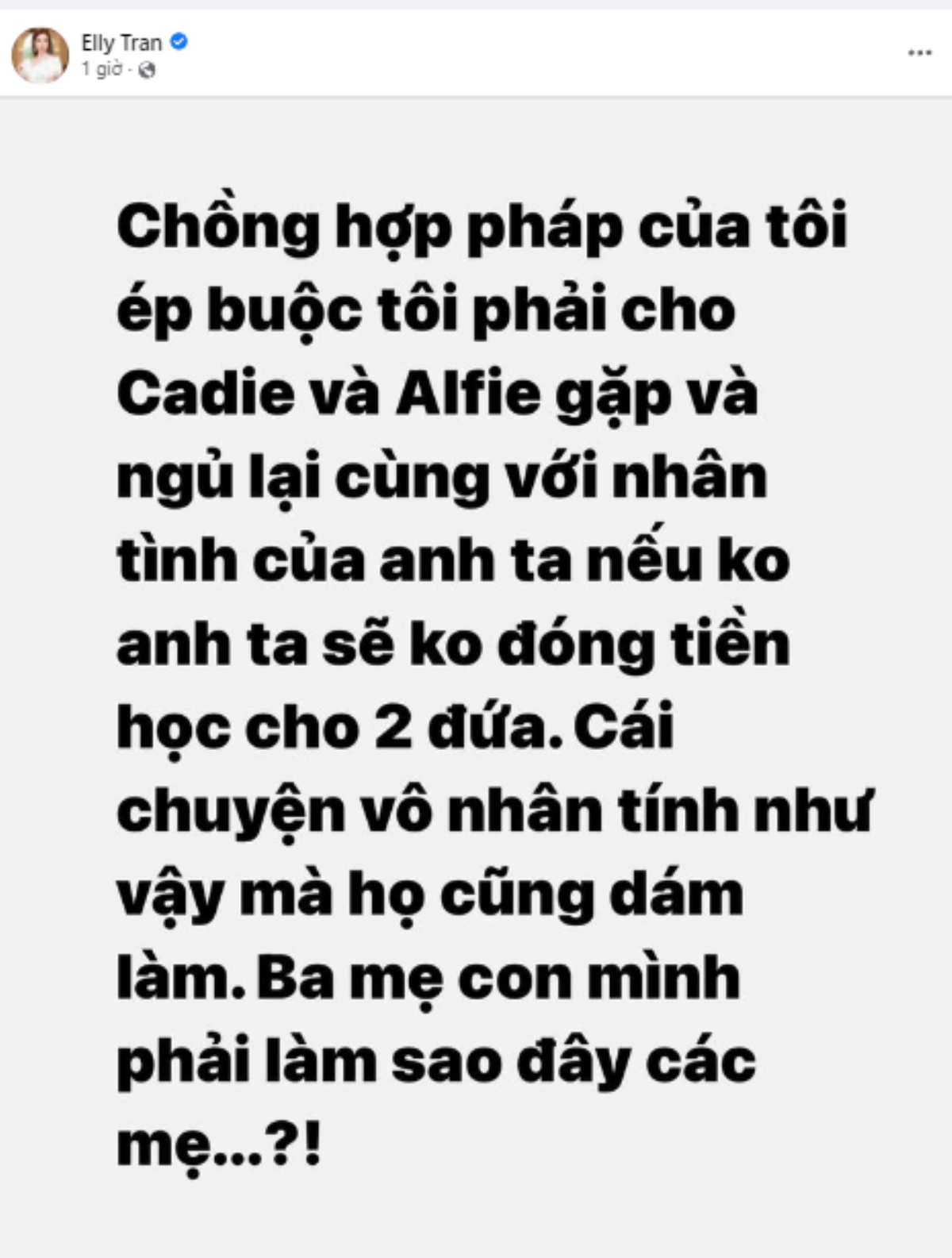 Elly Trần đăng đàn bức xúc cách đối xử 'vô nhân tính' của chồng cũ đối với con Ảnh 3