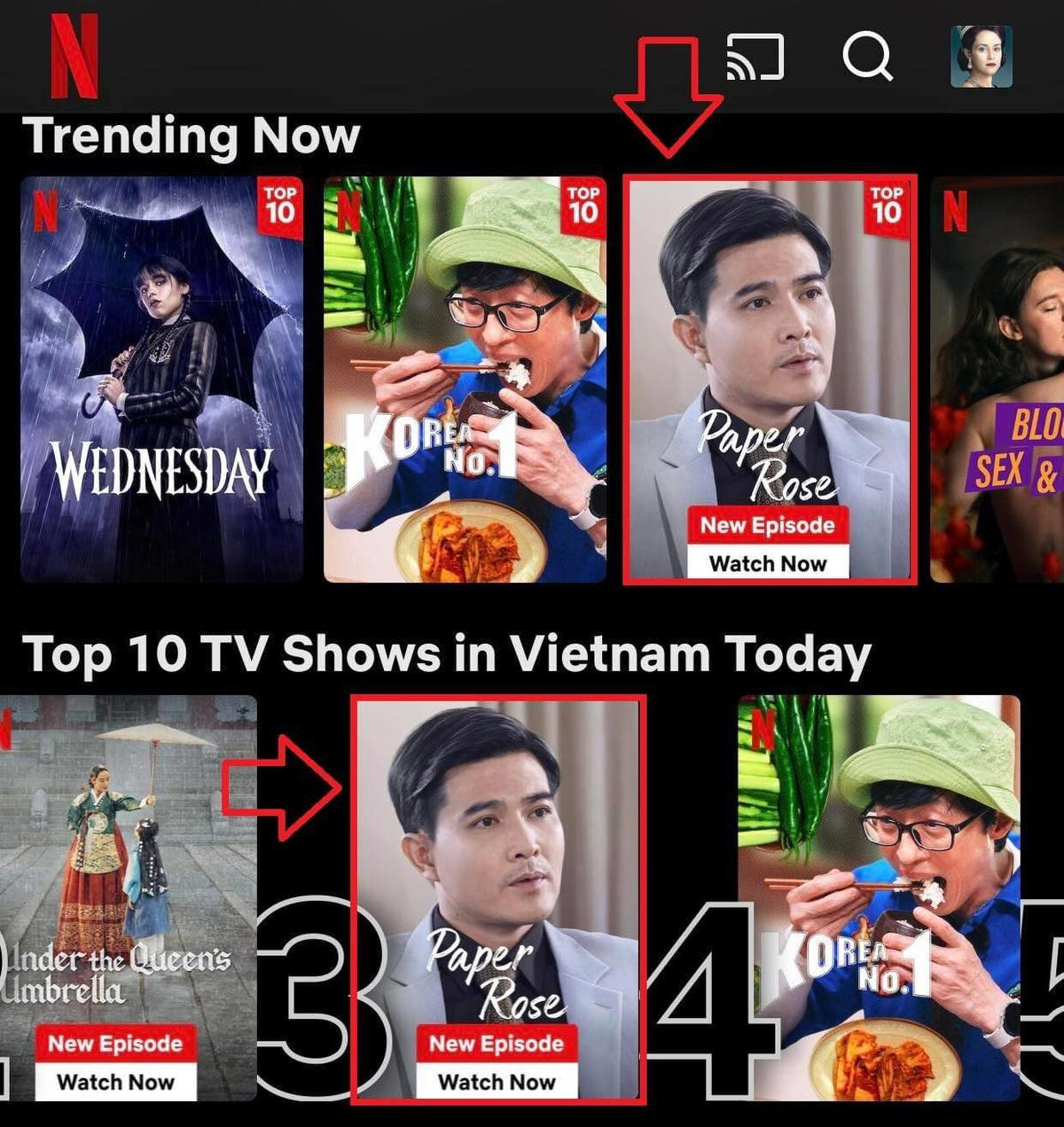 Một bộ phim Việt đạt thành tích 'khủng' trên Netflix, Dưới Bóng Trung Điện của Kim Hye Soo phải dè chừng Ảnh 1