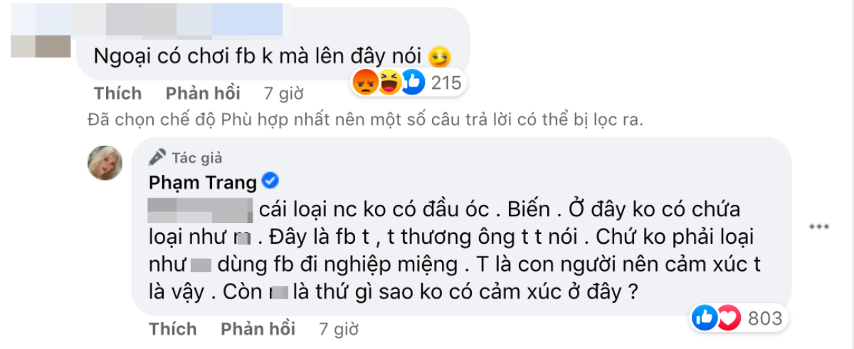 Bị anti-fan mỉa mai khi đăng ảnh người thân qua đời, Xoài Non đáp trả đanh thép Ảnh 3