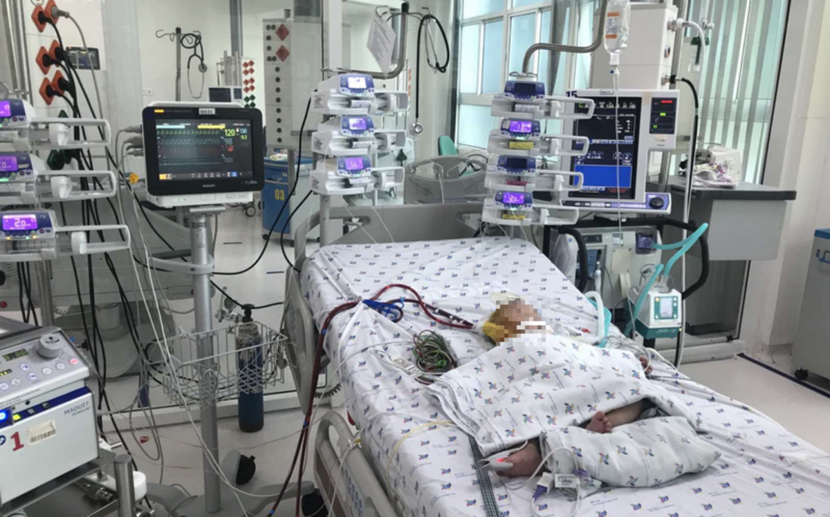 Bé 7 tháng tuổi sốc sốt xuất huyết được can thiệp ECMO cứu sống Ảnh 1