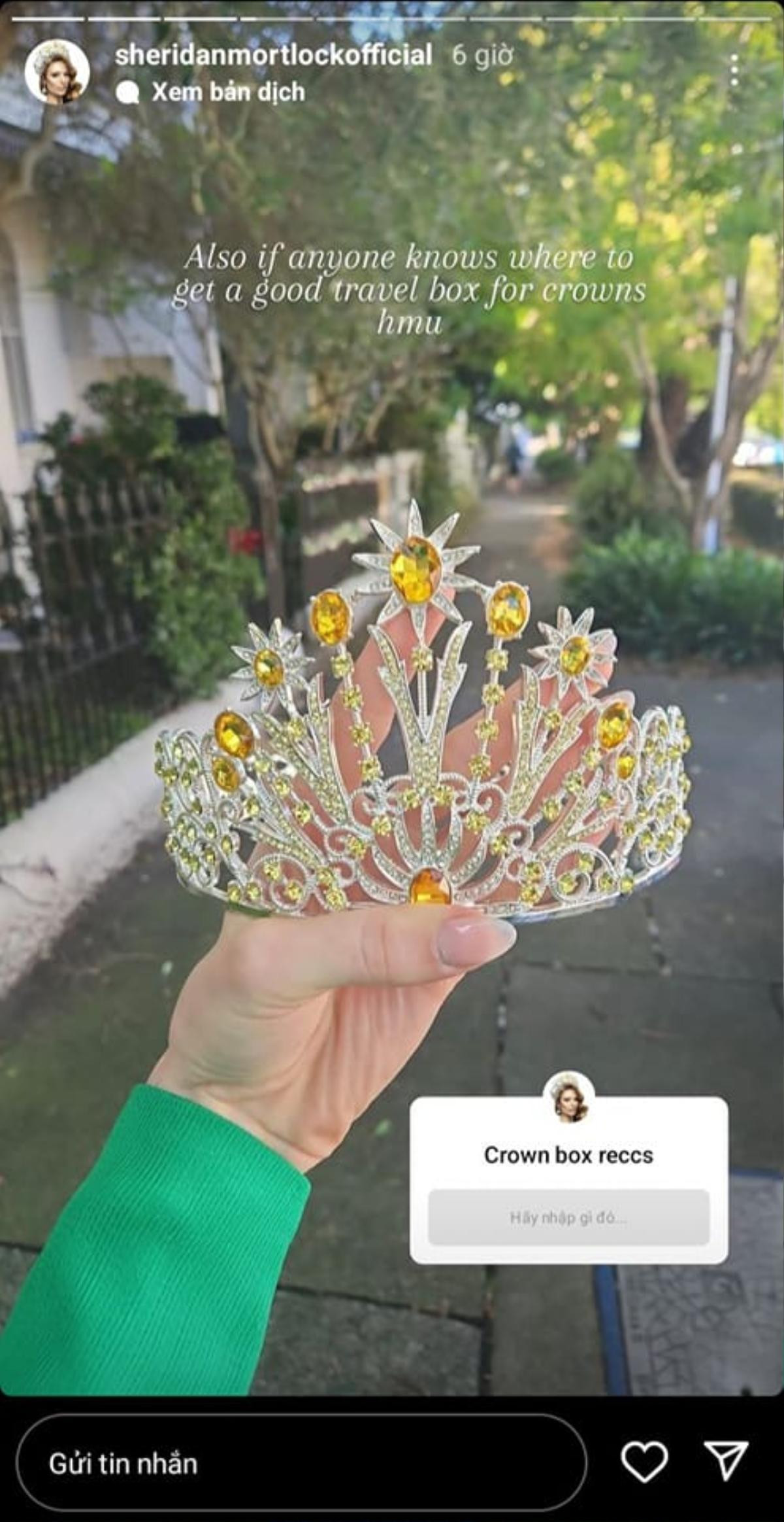 Á hậu Miss Earth xin hộp đựng tiara, netizen nhắc nhở: 'Đến Hoa hậu còn phải đựng vào túi giấy cơ mà' Ảnh 2