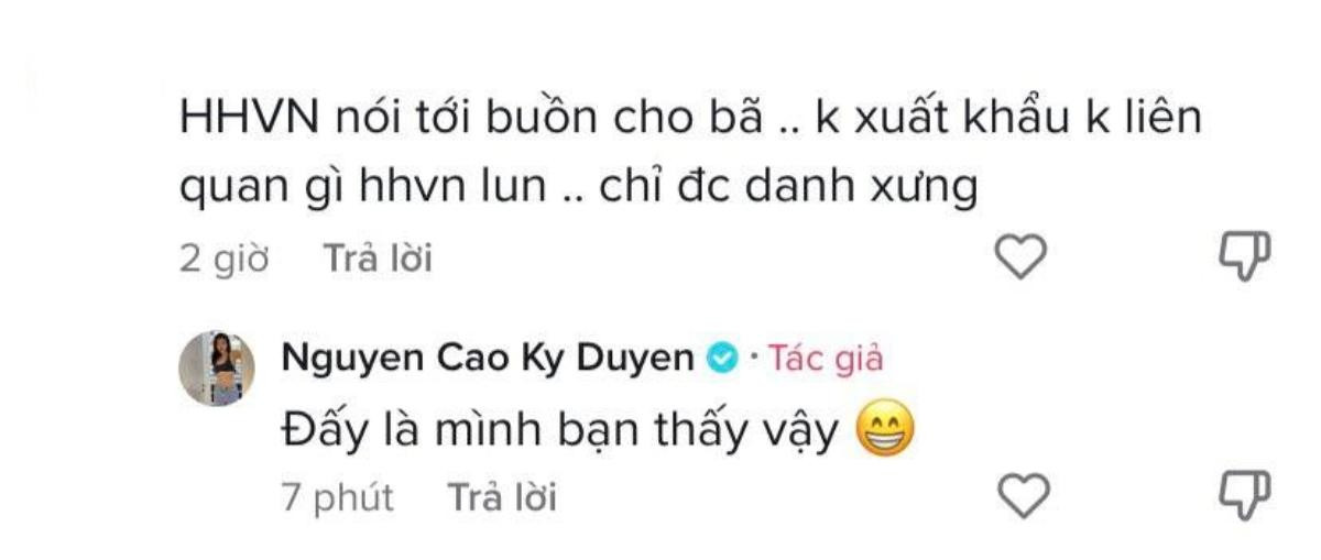 Kỳ Duyên nói gì khi netizen tiếc 'chỉ được danh xưng Hoa hậu Việt Nam' Ảnh 2